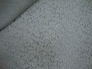 Altamira large cream
